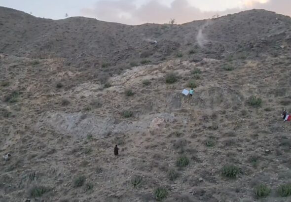 VideoCapture_20260220-012941