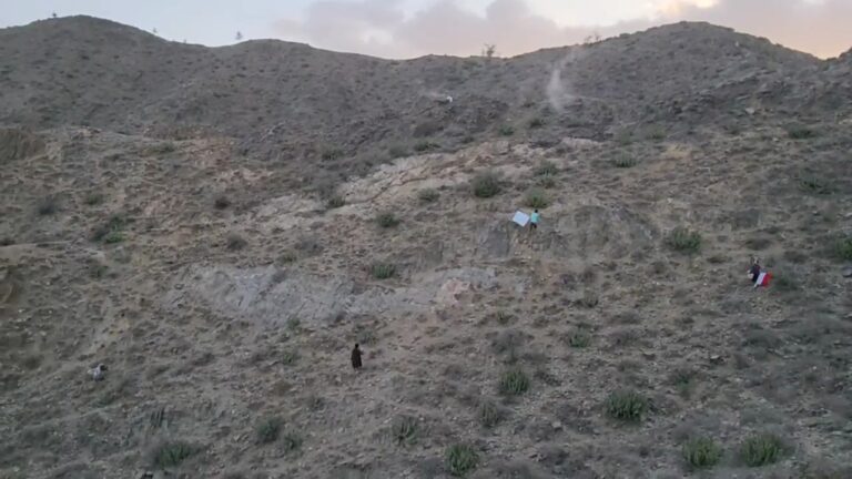 VideoCapture_20260220-012941